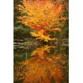 thumbnail image 2 of Vitaly Geyman 31x44 Gallery Wrapped Canvas Wall Art Titled - Fall Bouquet II, 2 of 4