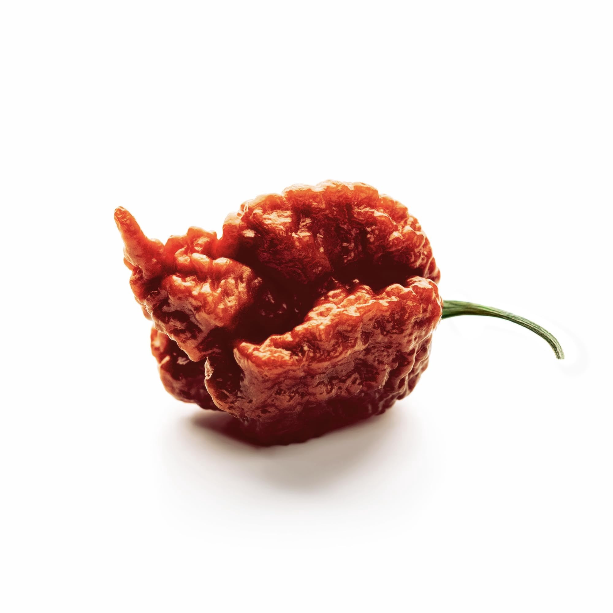 Unpretentious Whole Dried Carolina Reaper Chiles, Extremely Spicy Chiles, Hot Sauce 50 Count