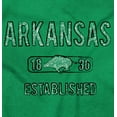 thumbnail image 2 of Arkansas Boar Stenciled Distressed Womens Slim Fit Graphic Tee Brisco Brands L, 2 of 5