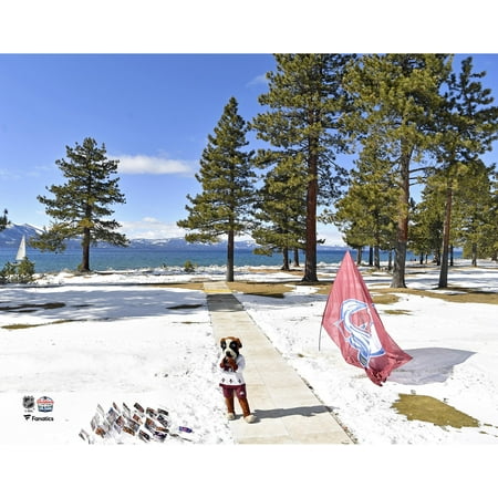 Bernie the St. Bernard Colorado Avalanche Unsigned 2021 Outdoors at Lake Tahoe Photograph