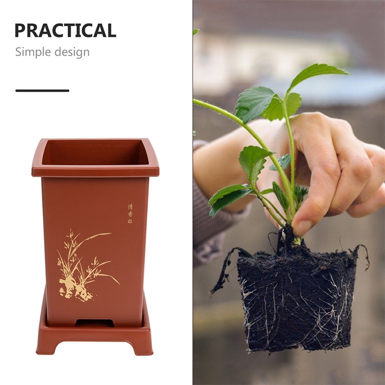 spicygem × cj plants x 鶴仙園 studs pot Amazon.com: ZOCWJK Chinese Ceramic Planter Porcelain Flower