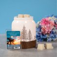 thumbnail image 4 of ScentSationals, Scented Wax Cubes - Caribbean Clouds, 4 of 4
