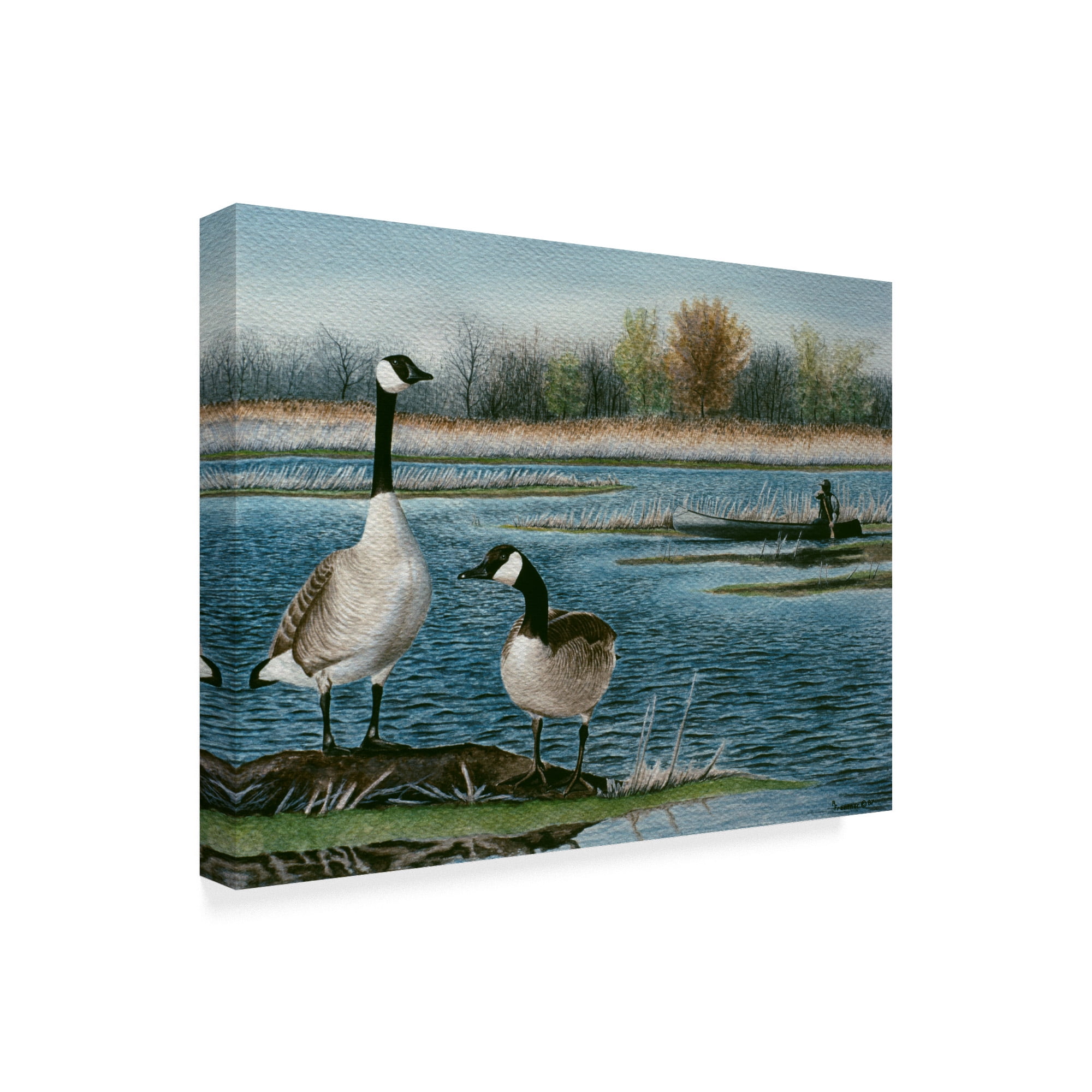 Trademark Fine Art 'Gander Study' Canvas Art by Rusty Frentner