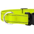 thumbnail image 5 of Country Brook Petz - Deluxe Reflective Nylon Dog Collar & Leash, 5 of 6
