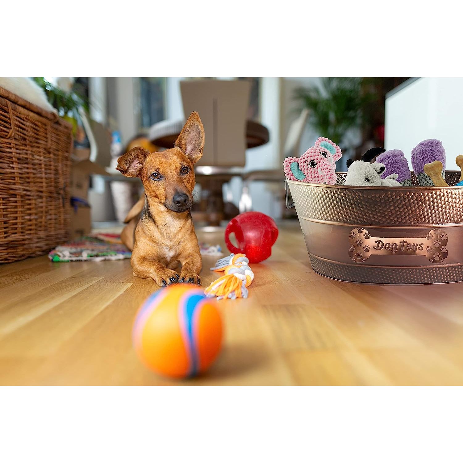 Dog Toy Bin Copper Storage Toy Box Galvanized (Donation to ASPCA
