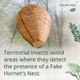 thumbnail image 4 of Dalen Hornet's Nest - Insect-Repellent for Outdoors - Mimics Real Nests, Making Hornets and Others Avoid Your Space – 11in, 3 Pack, 4 of 4