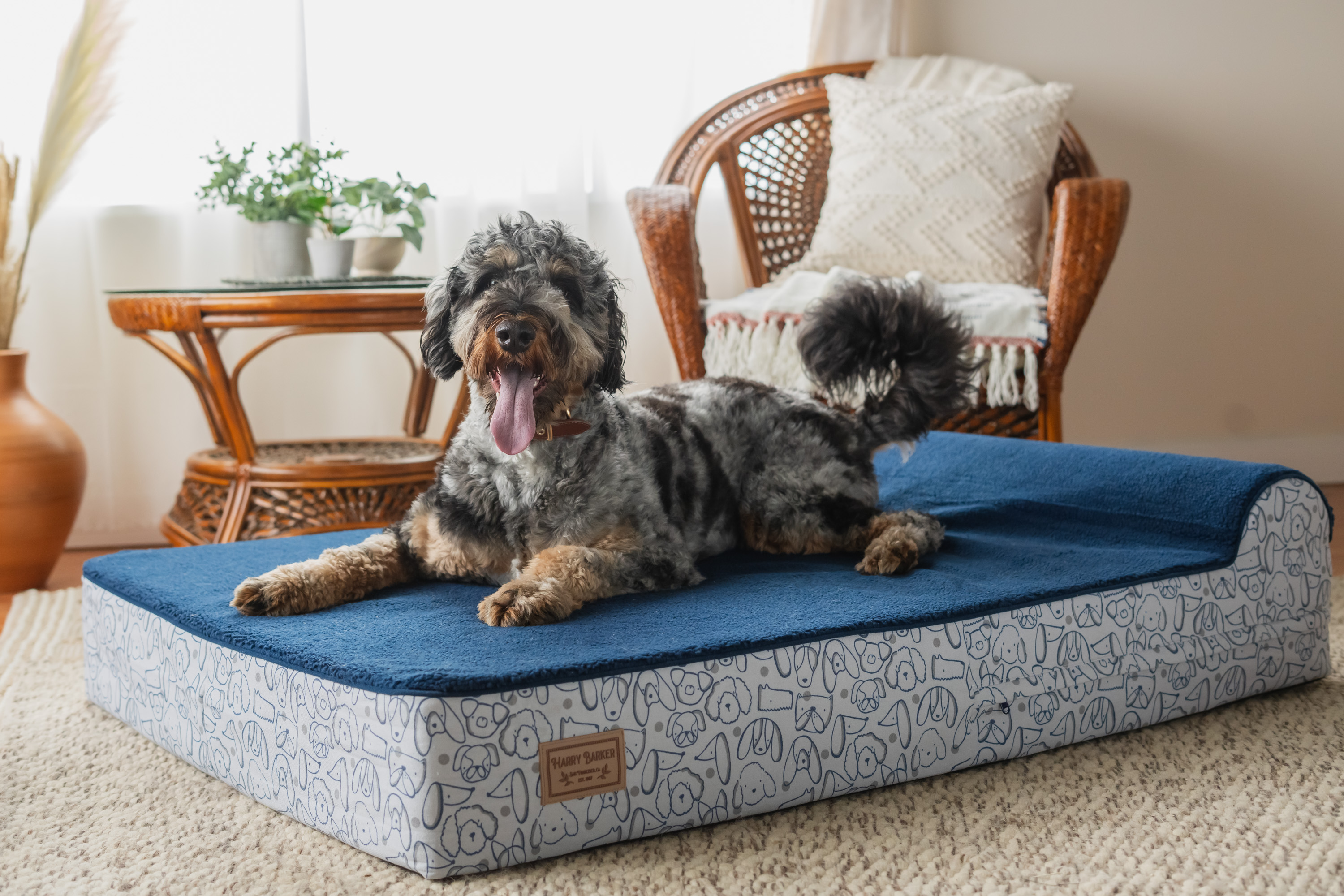 Harry Barker Premium Waterproof Orthopedic Pet Bed, 11 Inches Thick, BLue, XL