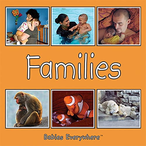 Pre-Owned Babies Everywhere: Las Familias/Families (Board Book)