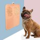 thumbnail image 5 of Comedero lento para perros clásico, almohadilla para lamer, reduce el aburrimiento y la ansiedad; MFZFUKR CPB-US-YY1020-3, 5 of 5