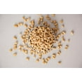 thumbnail image 3 of Dr. Marty Dr. Marty Nature's Blend for Puppies Freeze Dried Raw Dog Food 6-oz, 3 of 4