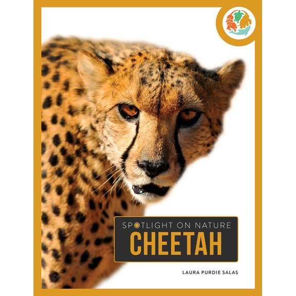 Spotlight on Nature Cheetah, (Hardcover)