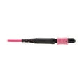 thumbnail image 3 of Eaton Tripp Lite Series 100G Multimode 50/125 OM4 Fiber Optic Cable [12F MTP/MPO-PC F/F], OFNP, Magenta, 2 m [6.6 ft.], TAA (n845b-02m-12mta), 3 of 3