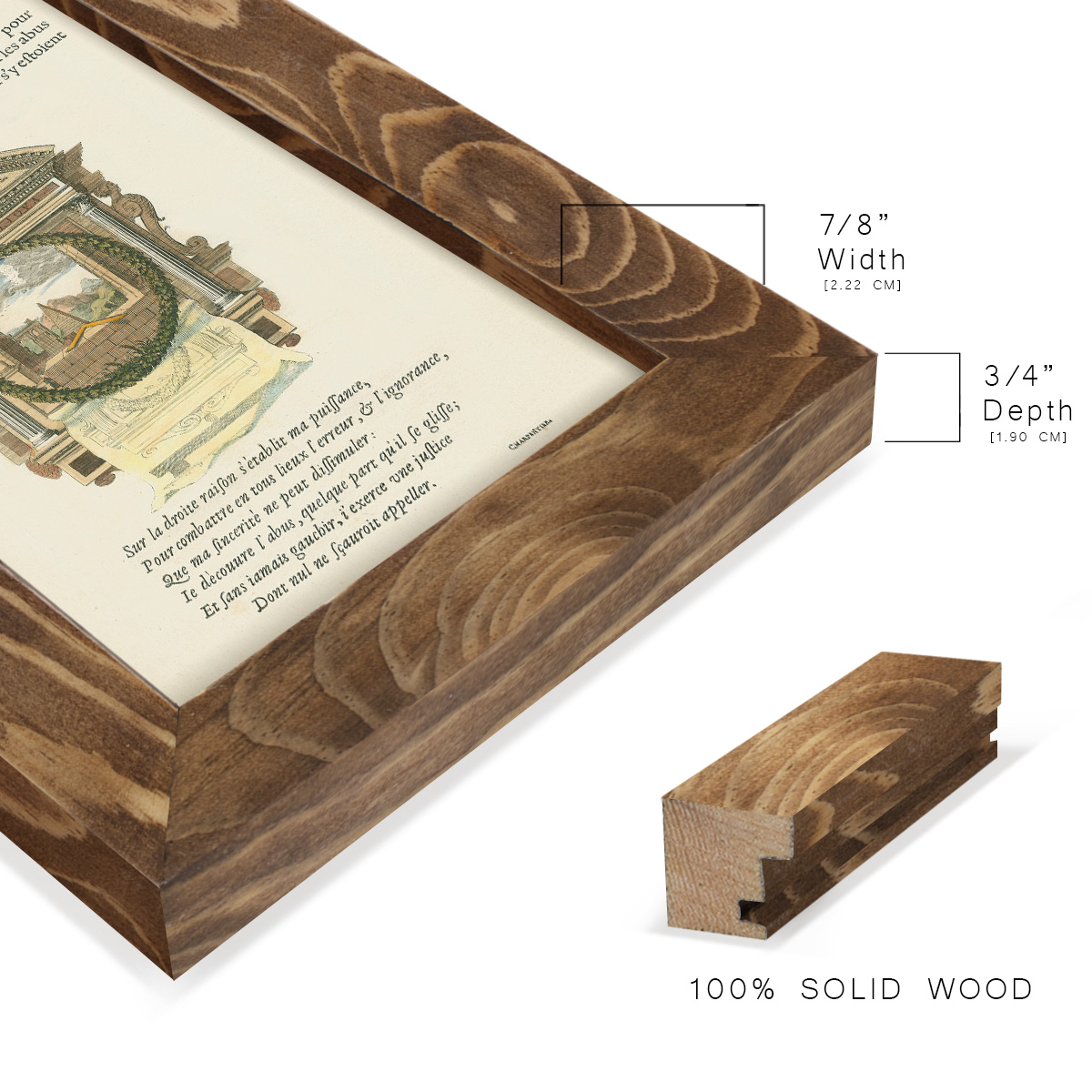 Printed Embellished Bookplate I - Framed Print w/glass - Walnut