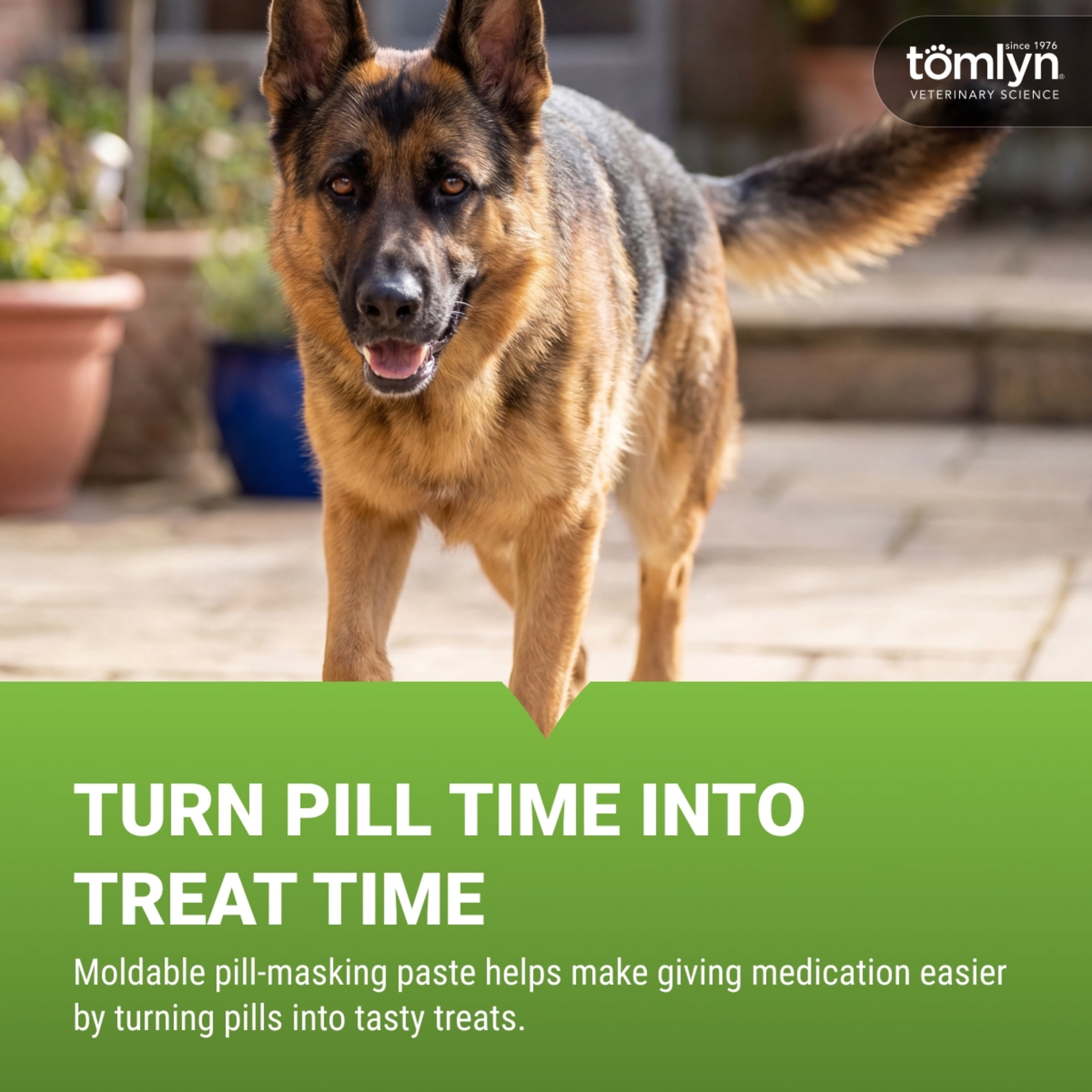 Tomlyn Pill Masker Bacon Flavor Paste for Dogs and Cats, Helps Hide the Taste and Smell of Capsules, Wafers, Tablets, and Liquid Drops, 56 Servings Per Container.