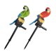 thumbnail image 3 of 2pcs Parrot Garden Solar Light Lawn Stake Lamp LED Outdoor Decorative Light, 3 of 3