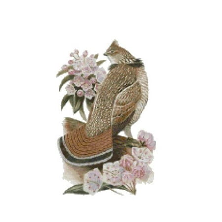 pennsylvania state bird and flower ruffed grouse and mountain laurel