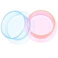thumbnail image 5 of 2pcs Reptile Pet Food Holder Plástico PET Water Bowl Multi-Function Hamster Dispensador de alimentos, 5 of 5