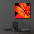 thumbnail image 6 of Epic Art 'Orange Flower on Black 02' by Tom Quartermaine, Acrylic Glass Wall Art, 12"x12", 6 of 8
