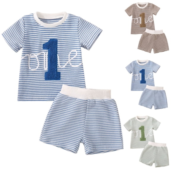 TTUHYWXI Toddler Baby Boy 1st Birthday Outfit Embroidery Waffle Knit Short Sleeve T-Shirt Shorts Set Cake Smash Outfit (Blue, 12-18 Months)