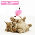 thumbnail image 3 of Relieves Boredom Since High Teasing Cat Stick Cat Toys Collar Collar Teasing Cat Artifacts Bite-resistant Feather Wire Teasing Cat Stick, 3 of 4