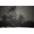 thumbnail image 2 of PhotoCosma 18x13 White Modern Wood Framed Museum Art Print Titled - Winter, 2 of 4