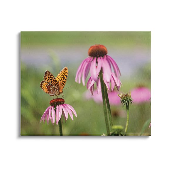 Stupell Industries Butterfly on Purple Flower Animals & Insects Photography Gallery Wrapped Canvas Print Wall Art, 30 x 24