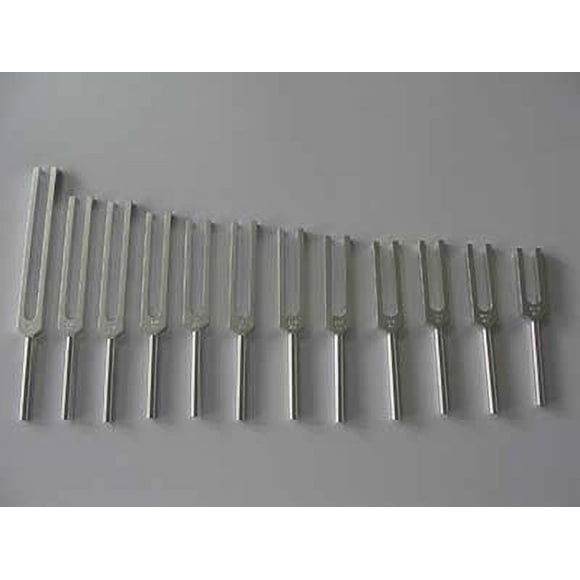 Diapason d'Orgue Humain