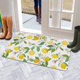 thumbnail image 5 of Lemon Fruit Linen Nonslip Floor Mat, Entryway Doormat Durable Low-Profile Mat Home Decor, Rug Washable Kitchen Bathroom Laundry Bedroom Living Room Doormats 30x17in, 5 of 5