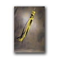 thumbnail image 1 of Bsi Products 79024 Wind Socks  - Iowa Hawkeyes, 1 of 1