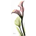 thumbnail image 2 of Koetsier, Albert 15x32 Gold Ornate Wood Framed with Double Matting Museum Art Print Titled - Calla Lily in Color, 2 of 4