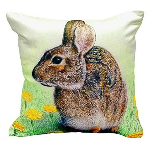 Rabbit No Cord Pillow 18x18