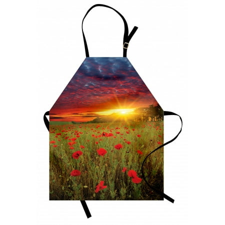 

Flower Apron Meadow with Grass and Poppies Dark Dramatic Sky in the Background Unisex Kitchen Bib Apron with Adjustable Neck for Cooking Baking Gardening Green Scarlet Cadet Blue by Ambesonne