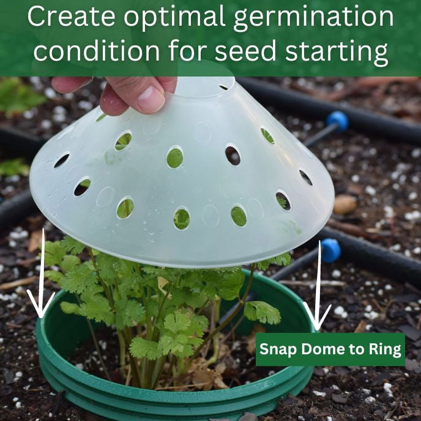 Rooted Promise Herbs Garden Kit Organic Herb Seed Starter Kit with Grow Rings and Greenhouse Domes 4pk