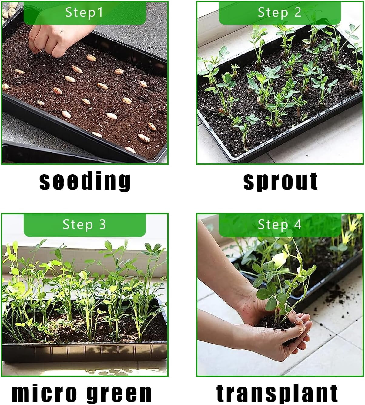 Reusable Heavy Duty Extra Thick Seed Starting Trays, 10 Pack No Holes Propagation Flats for Microgreens, Seedlings, Germination, Fodder and Transplant