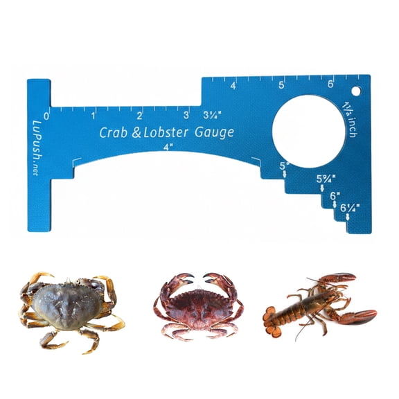 Crab Gauge & Lobster Ruler