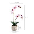 thumbnail image 4 of Home Accents 21-inch Artificial Real Touch Phalaenopsis Orchid Flower in Pot, Pink, 4 of 7