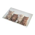 thumbnail image 3 of MKHERT Kittens Cat Doormat Non-slip Bath Mat Floor Mat 30x18 inch, 3 of 3