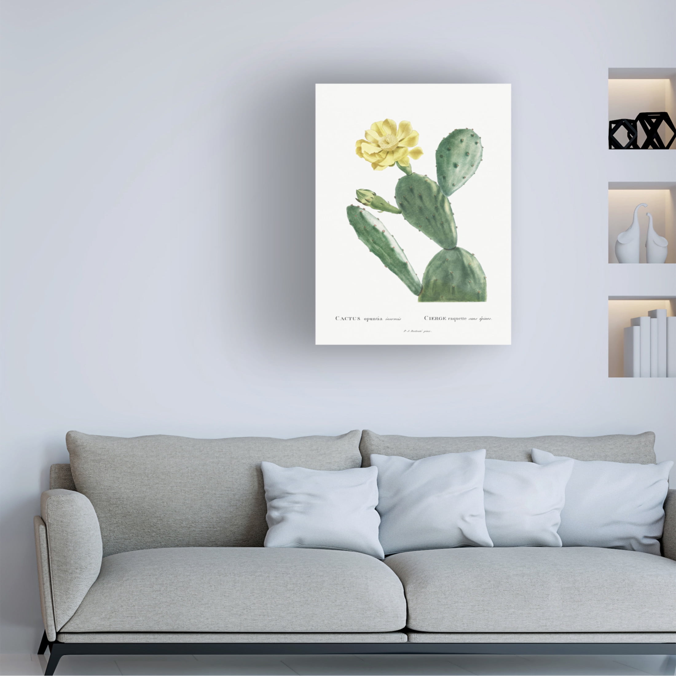 Trademark Fine Art Pierre Redoute Redoute Cactus II Canvas Wall Art