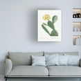 thumbnail image 4 of Trademark Fine Art Pierre Redoute Redoute Cactus II Canvas Wall Art, 4 of 4