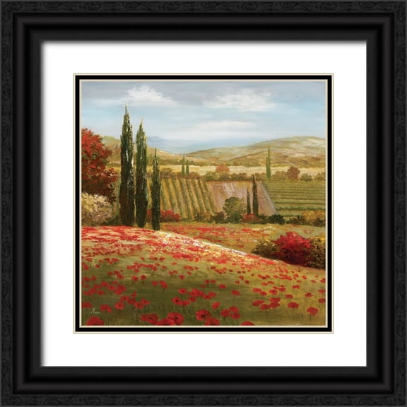 Nan 12x12 Black Ornate Wood Framed with Double Matting Museum Art Print Titled - Tuscan Cypress I
