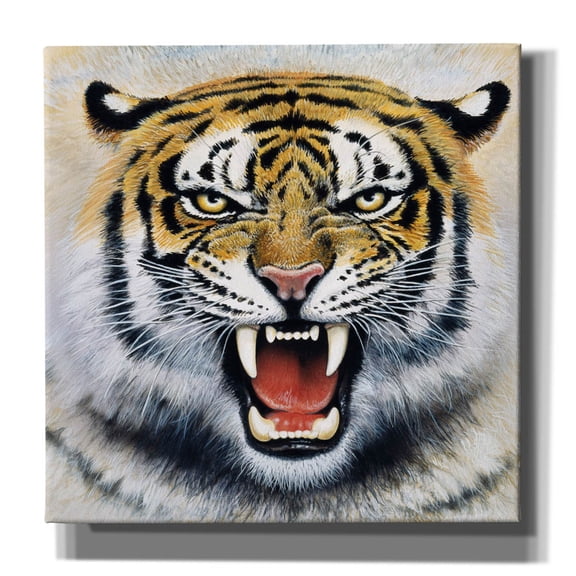 Epic Graffiti 'Tiger' by Harro Maass, Canvas Wall Art, 12"x12"