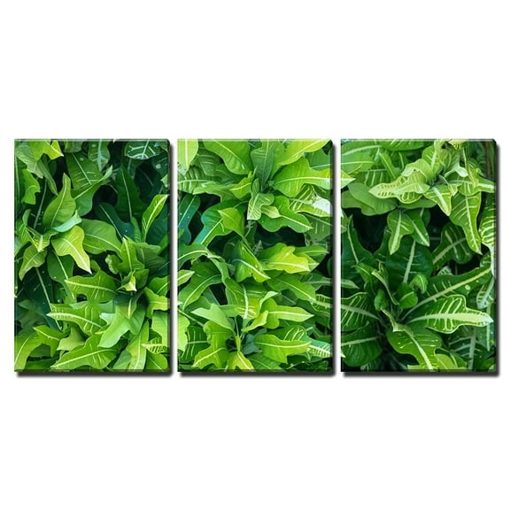 wall26 - Green Tropical Leaf Pattern - Canvas Art Wall Art - 24"x36"x3 Panels