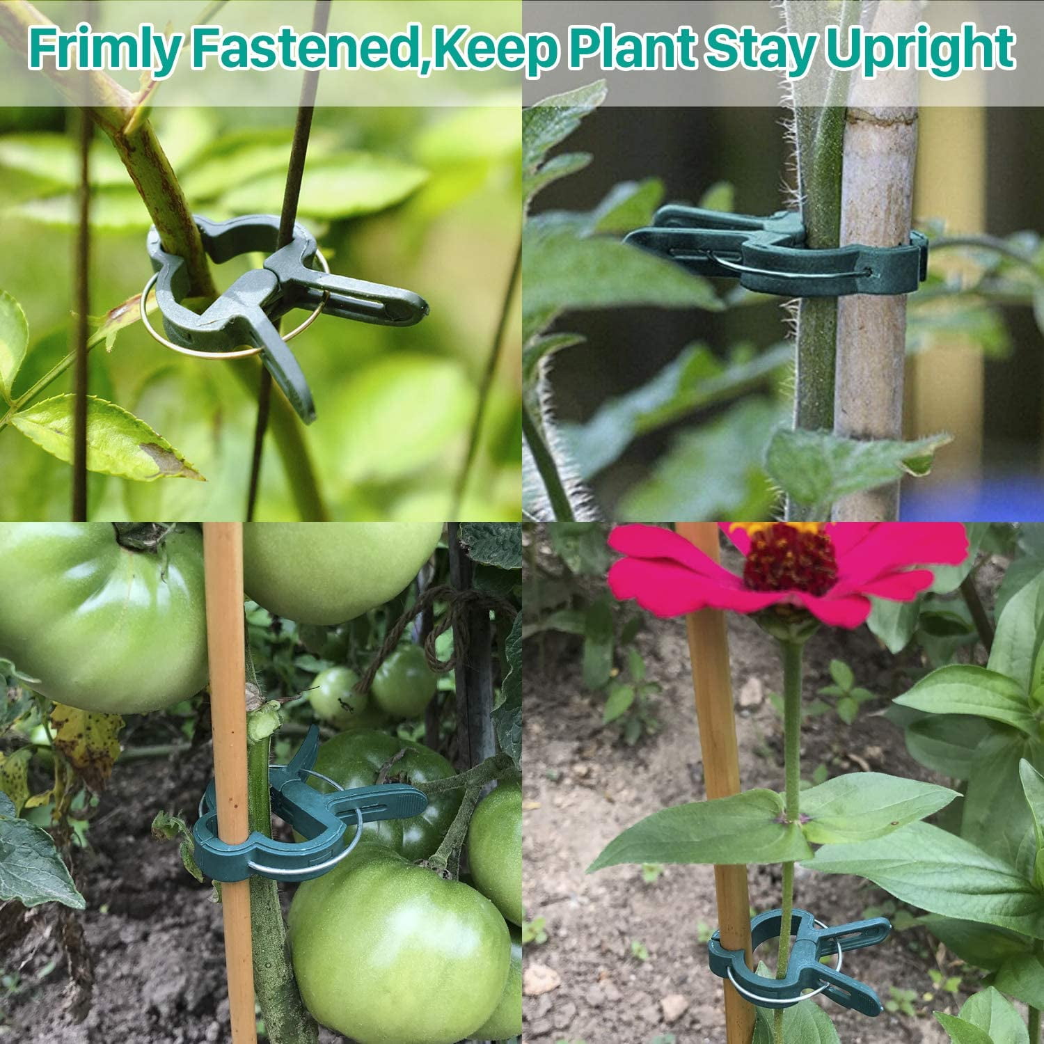 50/100 pcs Garden Plant Support Clips Vegetables Tomato Grow Vine Locks L0D3 50/100 pcs Garden Plant Support Clips Vegetables Tomato Grow Vine Locks L0D3