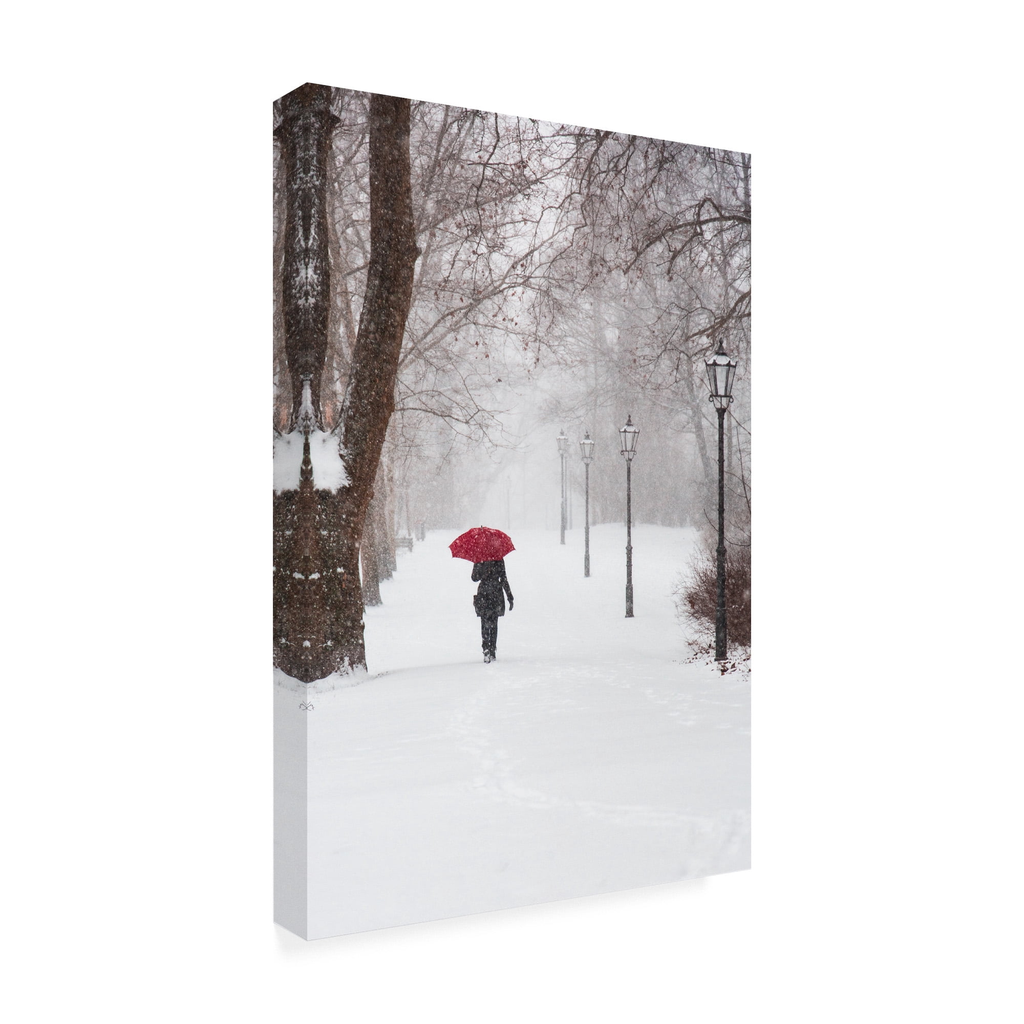 Trademark Fine Art 'Winter Rose' Canvas Art by Stefano Cors
