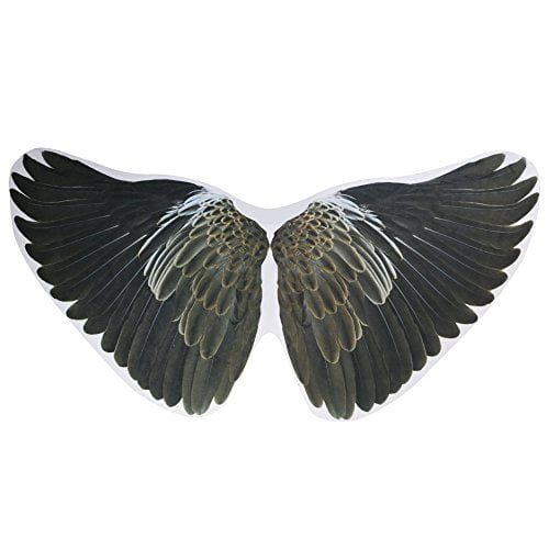 kids dress up wings