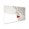 thumbnail image 2 of Seyhan Terzioglu 'Red' Canvas Art, 2 of 3