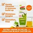 thumbnail image 4 of Palmer's Olive Oil Formula Smoothing Shampoo for Frizz-Prone Hair, 13.5 oz. Pack of 2, 4 of 6
