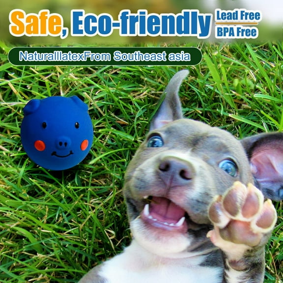 Squeaky Dog Toy, Latex Dog Toys for Puppy and Small Dogs, Piggy Face Squeaky Dog Balls Rubber Soft Chewing Durable Fetch Play for Pug Pet Dog (Blue, 1 PC)