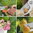 thumbnail image 7 of Professional Heavy Duty Pruning Shears for Thick Branches, Shrubs & Bushes - Ergonomic Hedge Shears with Durable Metal Blades, Precision Garden Scissors for Fruit Trees & Landscaping Tools, 7 of 7