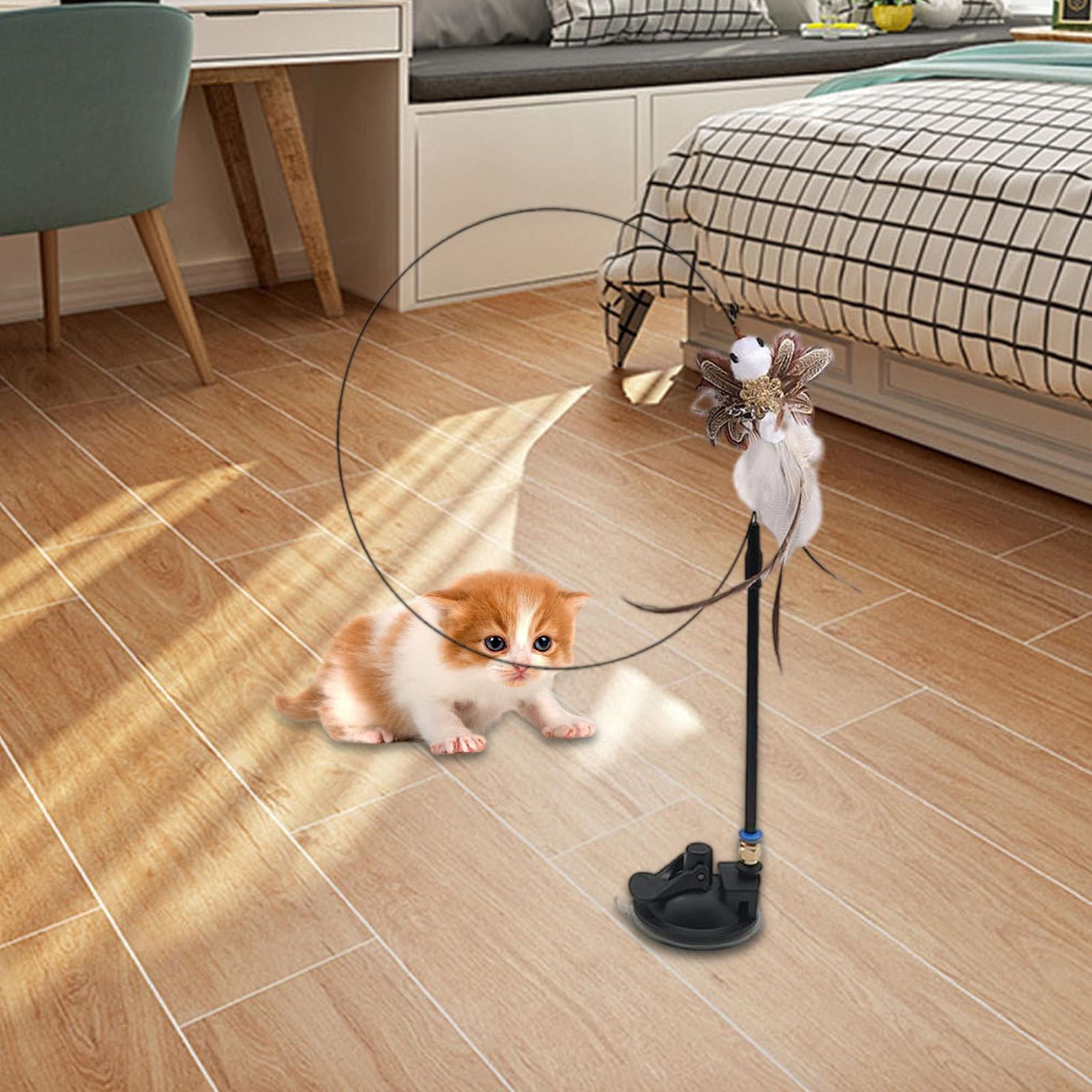 EHJRE 4Pcs Funny Cat Feather Toy Interactive Indoor Kitty Exercise Training Tool